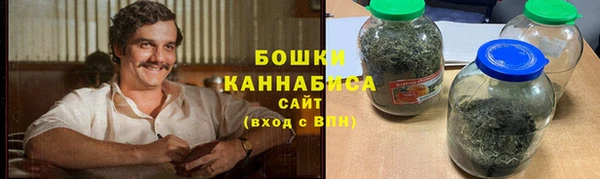 крисы Горнозаводск