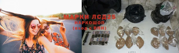 крисы Горнозаводск