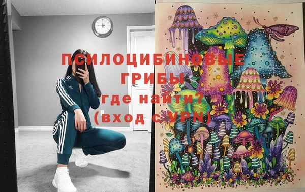 МДМА Горняк