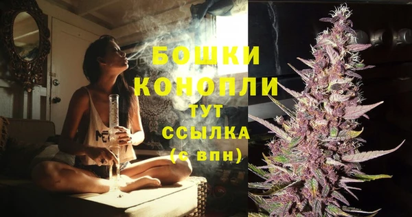 крисы Горнозаводск